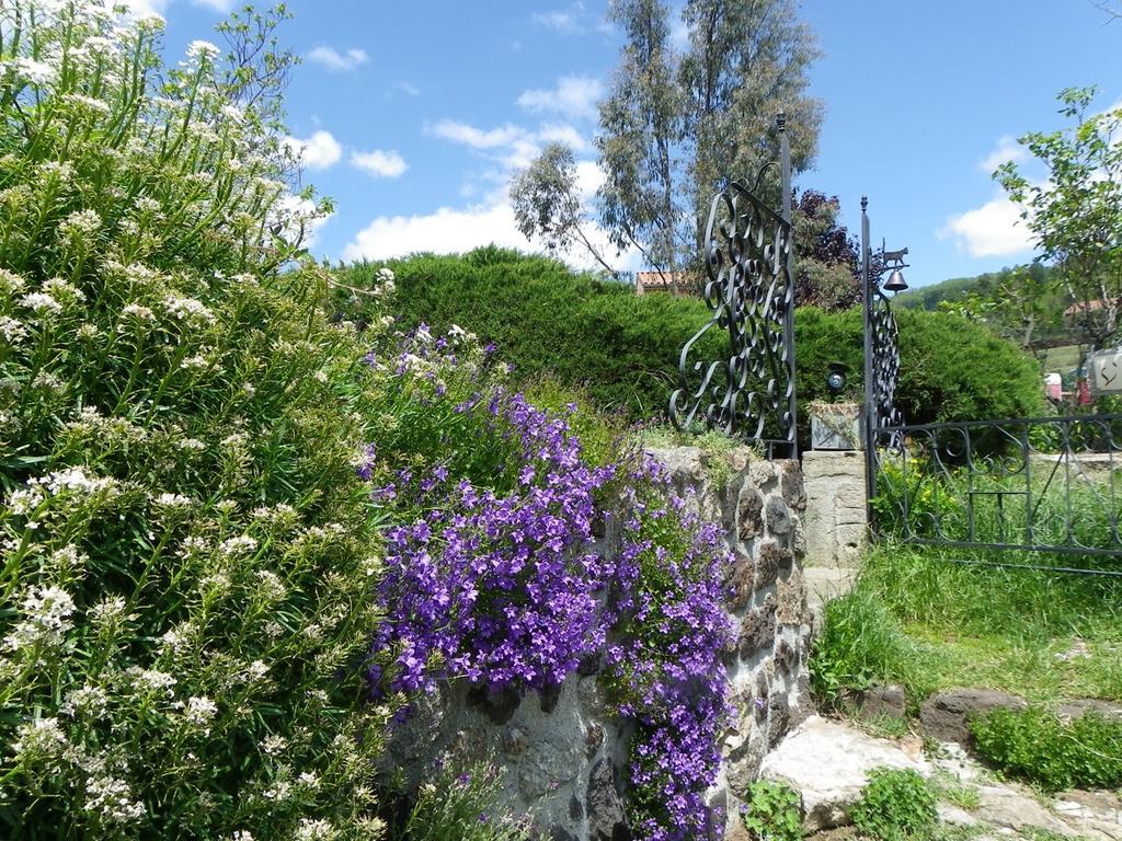 Bed and Breakfast Le Cabanon Thueyts Esterno foto
